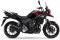 SUZUKI DL 250 V-STROM (EURO 4)